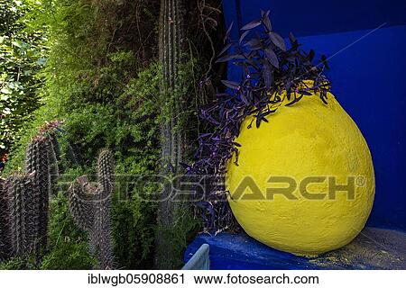 Stock Image - Detail, Jardin Majorelle with blue house of Yves Saint-Laurent, botanical garden, Marrakech, Morocco, Africa. Fotosearch