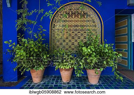 Detail, Jardin Majorelle with blue house of Yves Saint-Laurent, botanical garden, Marrakech, Morocco, Africa View Large Photo Image Stock Image - Detail, Jardin Majorelle with blue house of Yves Saint-Laurent, botanical garden, Marrakech, Morocco, Africa. Fotosearch
