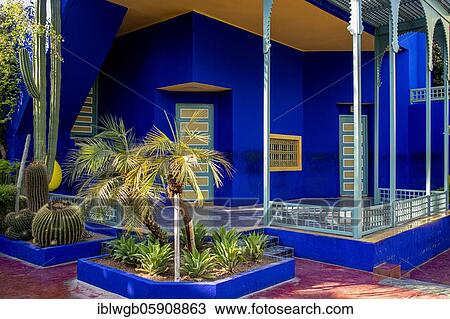 Stock Image - Detail, Jardin Majorelle with blue house of Yves Saint-Laurent, botanical garden, Marrakech, Morocco, Africa. Fotosearch