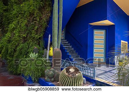 Stock Photo - Detail, Jardin Majorelle with blue house of Yves Saint-Laurent, botanical garden, Marrakech, Morocco, Africa. Fotosearch
