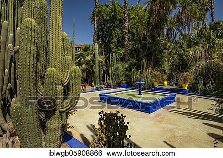 Detail, Jardin Majorelle with blue house of Yves Saint-Laurent, botanical garden, Marrakech, Morocco, Africa View Large Photo Image Stock Photograph - Detail, Jardin Majorelle with blue house of Yves Saint-Laurent, botanical garden, Marrakech, Morocco, Africa. Fotosearch