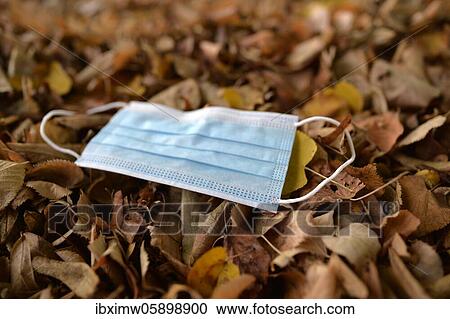 Discarded face mask lying on the ground in autumn foliage, corona crisis, Stuttgart, Baden-Württemberg, Germany, Europe View Large Photo Image Stock Image - Discarded face mask lying on the ground in autumn foliage, corona crisis, Stuttgart, Baden-Württemberg, Germany, Europe. Fotosearch