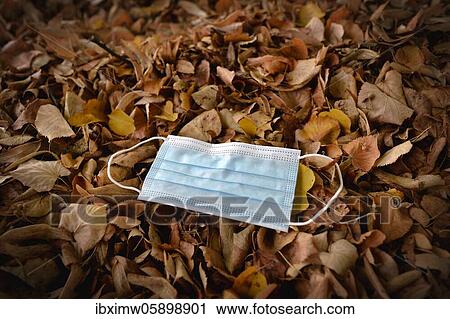 Discarded face mask lying on the ground in autumn foliage, corona crisis, Stuttgart, Baden-Württemberg, Germany, Europe View Large Photo Image Stock Image - Discarded face mask lying on the ground in autumn foliage, corona crisis, Stuttgart, Baden-Württemberg, Germany, Europe. Fotosearch
