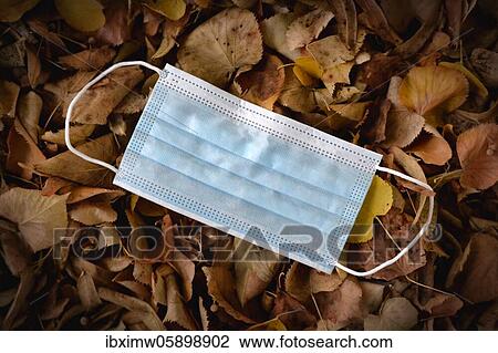 Discarded face mask lying on the ground in autumn foliage, corona crisis, Stuttgart, Baden-Württemberg, Germany, Europe View Large Photo Image Stock Image - Discarded face mask lying on the ground in autumn foliage, corona crisis, Stuttgart, Baden-Württemberg, Germany, Europe. Fotosearch
