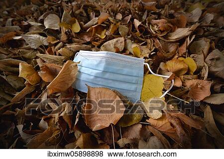Stock Photo - Discarded face mask lying on the ground in autumn foliage, corona crisis, Stuttgart, Baden-Württemberg, Germany, Europe. Fotosearch