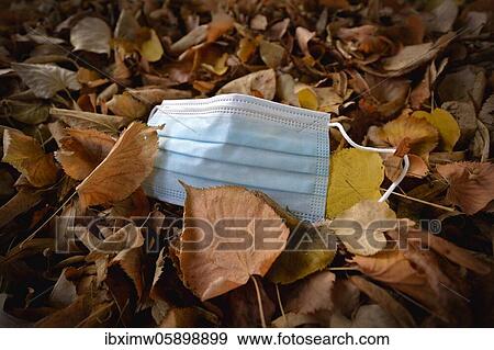 Discarded face mask lying on the ground in autumn foliage, corona crisis, Stuttgart, Baden-Württemberg, Germany, Europe View Large Photo Image Stock Photo - Discarded face mask lying on the ground in autumn foliage, corona crisis, Stuttgart, Baden-Württemberg, Germany, Europe. Fotosearch