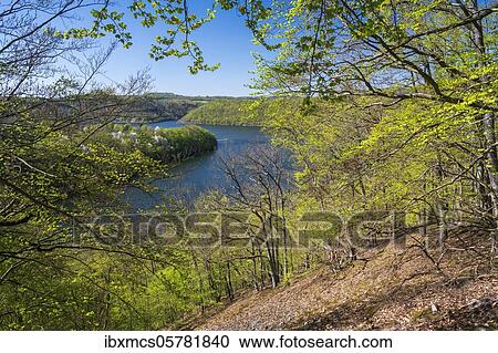 Edersee, spring, Kellerwald National Park, Hesse, Germany, Europe View Large Photo Image Stock Image - Edersee, spring, Kellerwald National Park, Hesse, Germany, Europe. Fotosearch