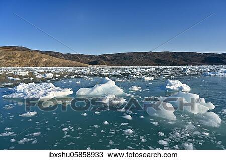 Eqi glacier with drift ice in the foreground, Disko Bay, West Greenland, Greenland, North America View Large Photo Image Stock Image - Eqi glacier with drift ice in the foreground, Disko Bay, West Greenland, Greenland, North America. Fotosearch