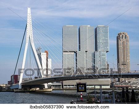 Erasmus Bridge, De Rotterdam building and De Monchyplein skyscraper, Rotterdam, Netherlands View Large Photo Image Stock Image - Erasmus Bridge, De Rotterdam building and De Monchyplein skyscraper, Rotterdam, Netherlands. Fotosearch