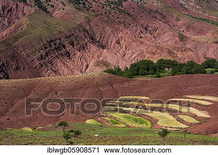 Erosion landscape with small fields, Ait Bouguemez, High Atlas, Morocco, Africa View Large Photo Image Stock Image - Erosion landscape with small fields, Ait Bouguemez, High Atlas, Morocco, Africa. Fotosearch