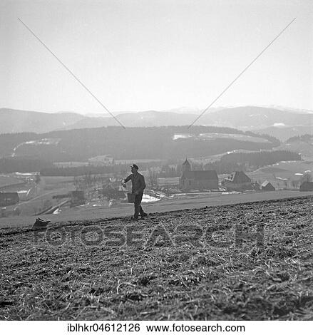 Farmer walks over a field and sows, ca. 1945 to 1955, near Freiburg, Germany, Europe View Large Photo Image Stock Photograph - Farmer walks over a field and sows, ca. 1945 to 1955, near Freiburg, Germany, Europe. Fotosearch