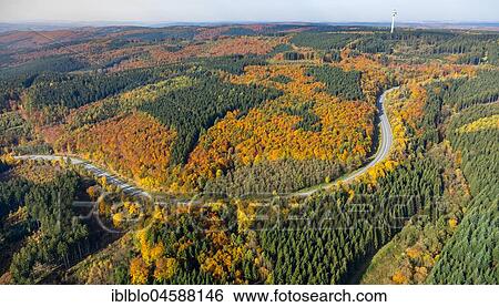 Federal highway B55 through the Mescheder forest, country road, forest road with autumn leaves, Meschede, autumn mood, Sauerland, North Rhine-Westphalia, Germany, Europe View Large Photo Image Stock Photograph - Federal highway B55 through the Mescheder forest, country road, forest road with autumn leaves, Meschede, autumn mood, Sauerland, North Rhine-Westphalia, Germany, Europe. Fotosearch