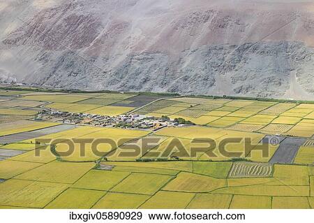 Fields along the Rio Ocoña, near Camaná, Arequipa region, Peru, South America View Large Photo Image Stock Photo - Fields along the Rio Ocoña, near Camaná, Arequipa region, Peru, South America. Fotosearch