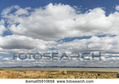 Firth of Thames, Oceania, mudflats and salt marshes Waikato, North Island, New Zealand, Oceania View Large Photo Image Stock Photo - Firth of Thames, Oceania, mudflats and salt marshes Waikato, North Island, New Zealand, Oceania. Fotosearch