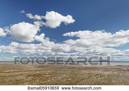 Firth of Thames, Oceania, mudflats and salt marshes Waikato, North Island, New Zealand, Oceania View Large Photo Image Stock Photo - Firth of Thames, Oceania, mudflats and salt marshes Waikato, North Island, New Zealand, Oceania. Fotosearch