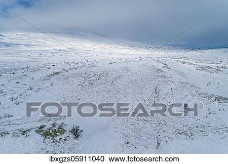 Fjell with snow pressed by the wind, Nordland, Norway, Europe View Large Photo Image Stock Image - Fjell with snow pressed by the wind, Nordland, Norway, Europe. Fotosearch