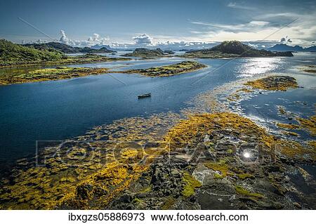 Fjord landscape with small rock islands at low tide with yellow seaweed, small wooden boat between archipelagos in the sea, Lødingen, Nordland, Lofoten, Norway, Europe View Large Photo Image Stock Image - Fjord landscape with small rock islands at low tide with yellow seaweed, small wooden boat between archipelagos in the sea, Lødingen, Nordland, Lofoten, Norway, Europe. Fotosearch