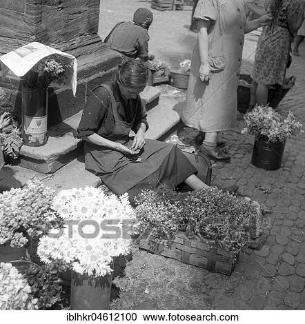 Flower seller counts her daily income, Freiburger Münstermarkt, approx. 1945 to 1955, Freiburg, Germany, Europe View Large Photo Image Stock Image - Flower seller counts her daily income, Freiburger Münstermarkt, approx. 1945 to 1955, Freiburg, Germany, Europe. Fotosearch