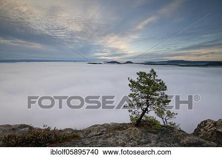 Fog in the Elbe Valley, Saxony, Germany, sunrise on Lilienstein with view into Saxon Switzerland on Papsstein and Gorisch, National Park Saxon Switzerland, Europe View Large Photo Image Stock Image - Fog in the Elbe Valley, Saxony, Germany, sunrise on Lilienstein with view into Saxon Switzerland on Papsstein and Gorisch, National Park Saxon Switzerland, Europe. Fotosearch