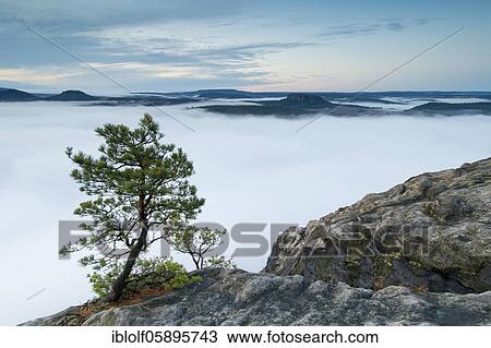 Fog in the Elbe Valley, Saxony, Germany, sunrise on Lilienstein with view into Saxon Switzerland on Pfaffenstein and Gorisch, National Park Saxon Switzerland, Europe View Large Photo Image Stock Image - Fog in the Elbe Valley, Saxony, Germany, sunrise on Lilienstein with view into Saxon Switzerland on Pfaffenstein and Gorisch, National Park Saxon Switzerland, Europe. Fotosearch