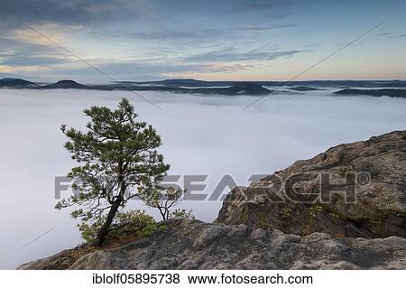 Fog in the Elbe Valley, Saxony, Germany, sunrise on Lilienstein with view into Saxon Switzerland on Pfaffenstein and Gorisch, National Park Saxon Switzerland, Europe View Large Photo Image Stock Photo - Fog in the Elbe Valley, Saxony, Germany, sunrise on Lilienstein with view into Saxon Switzerland on Pfaffenstein and Gorisch, National Park Saxon Switzerland, Europe. Fotosearch