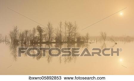Stock Image - Fog in the moor at sunrise, reflection, Goldenstedter Moor, Lower Saxony, Germany, Europe. Fotosearch