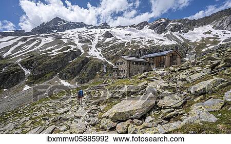 Stock Image - Friesenberghaus in front of snowy mountains, Zillertal Alps, Zillertal Alps, Zillertal, Tyrol, Austria, Europe. Fotosearch