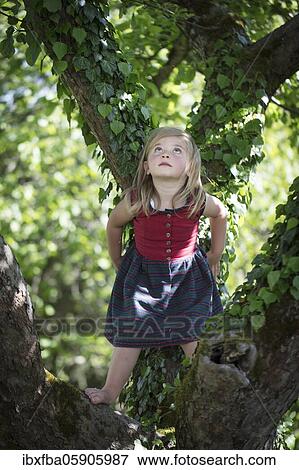 Girl, climbing a tree, Schliersee, Bavaria, Germany, Europe View Large Photo Image Stock Photo - Girl, climbing a tree, Schliersee, Bavaria, Germany, Europe. Fotosearch