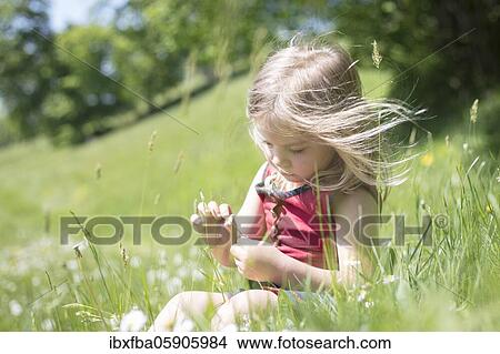 Girls, Picking daisies, Schliersee, Bavaria, Germany, Europe View Large Photo Image Picture - Girls, Picking daisies, Schliersee, Bavaria, Germany, Europe. Fotosearch