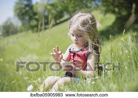 Stock Image - Girls, Picking daisies, Schliersee, Bavaria, Germany, Europe. Fotosearch