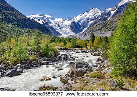 Glacier stream in the Morteratsch Valley with Bellavista, Piz Bernina and Morteratsch Glacier, Pontresina, Bernina Alps, Upper Engadine, Engadine, Grisons, Switzerland, Europe View Large Photo Image Stock Photo - Glacier stream in the Morteratsch Valley with Bellavista, Piz Bernina and Morteratsch Glacier, Pontresina, Bernina Alps, Upper Engadine, Engadine, Grisons, Switzerland, Europe. Fotosearch