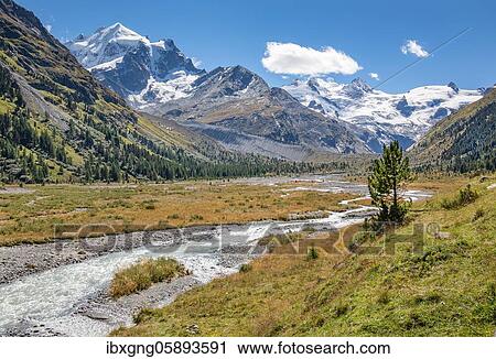 Glacier stream in the Roseg Valley, Val Roseg with Piz Roseg, Piz Glüschaint and Roseg Glacier, Pontresina, Bernina Alps, Upper Engadine, Engadine, Grisons, Switzerland, Europe View Large Photo Image Stock Image - Glacier stream in the Roseg Valley, Val Roseg with Piz Roseg, Piz Glüschaint and Roseg Glacier, Pontresina, Bernina Alps, Upper Engadine, Engadine, Grisons, Switzerland, Europe. Fotosearch