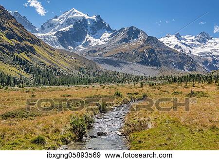 Glacier stream in the Roseg Valley, Val Roseg with Piz Roseg, Piz Glüschaint and Roseg Glacier, Pontresina, Bernina Alps, Upper Engadine, Engadine, Grisons, Switzerland, Europe View Large Photo Image Stock Photo - Glacier stream in the Roseg Valley, Val Roseg with Piz Roseg, Piz Glüschaint and Roseg Glacier, Pontresina, Bernina Alps, Upper Engadine, Engadine, Grisons, Switzerland, Europe. Fotosearch