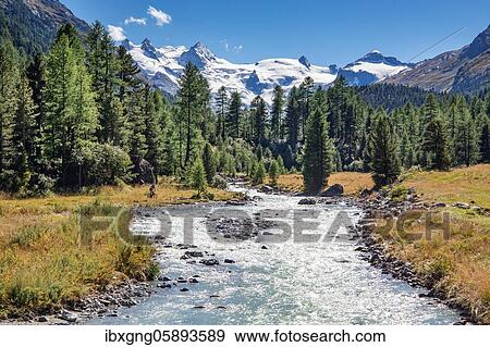 Glacier stream in the Roseg Valley, Val Roseg with Piz Glüschaint and Roseg Glacier, Pontresina, Bernina Alps, Upper Engadine, Engadine, Grisons, Switzerland, Europe View Large Photo Image Stock Photo - Glacier stream in the Roseg Valley, Val Roseg with Piz Glüschaint and Roseg Glacier, Pontresina, Bernina Alps, Upper Engadine, Engadine, Grisons, Switzerland, Europe. Fotosearch