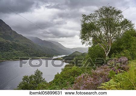 Stock Image - Great Britain, Highland, view over Loch Leven, Scotland. Fotosearch