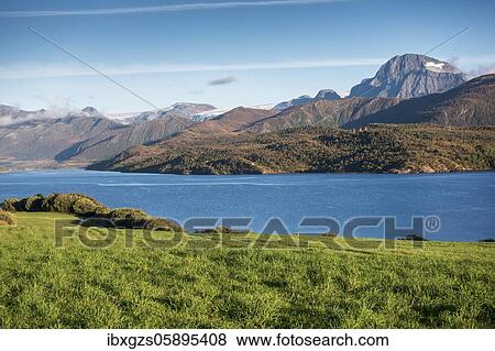 Stock Photo - Green pasture in front of a fjord, behind mountain range and Svartisen glacier tongue, Svartisen, Nordland, Norway, Europe. Fotosearch
