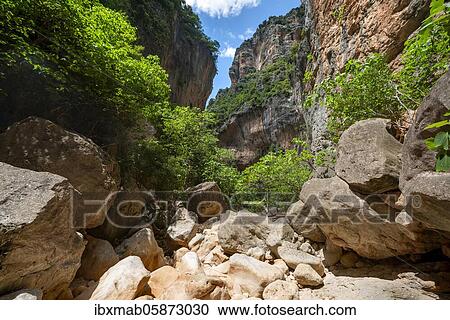 Green trees in the gorge, steep cliffs of the Garganta Verde, Sierra de Cádiz, province of Cádiz, Spain, Europe View Large Photo Image Stock Image - Green trees in the gorge, steep cliffs of the Garganta Verde, Sierra de Cádiz, province of Cádiz, Spain, Europe. Fotosearch