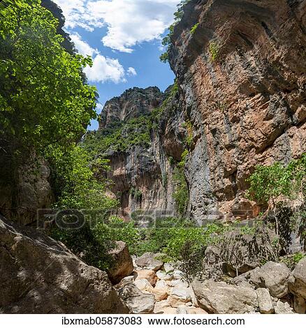 Green trees in the gorge, steep cliffs of the Garganta Verde, Sierra de Cádiz, province of Cádiz, Spain, Europe View Large Photo Image Stock Image - Green trees in the gorge, steep cliffs of the Garganta Verde, Sierra de Cádiz, province of Cádiz, Spain, Europe. Fotosearch