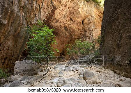 Stock Image - Green trees in the gorge, steep cliffs of the Garganta Verde, Sierra de Cádiz, province of Cádiz, Spain, Europe. Fotosearch