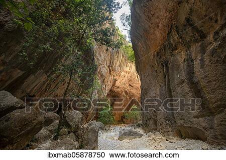 Green trees in the gorge, steep cliffs of the Garganta Verde, Sierra de Cádiz, province of Cádiz, Spain, Europe View Large Photo Image Stock Image - Green trees in the gorge, steep cliffs of the Garganta Verde, Sierra de Cádiz, province of Cádiz, Spain, Europe. Fotosearch
