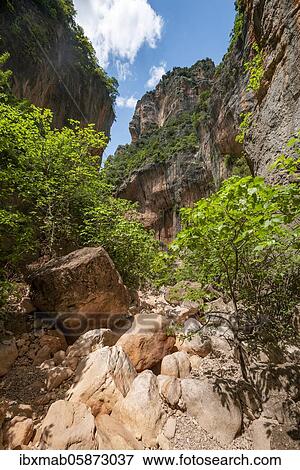 Green trees in the gorge, steep cliffs of the Garganta Verde, Sierra de Cádiz, province of Cádiz, Spain, Europe View Large Photo Image Stock Photo - Green trees in the gorge, steep cliffs of the Garganta Verde, Sierra de Cádiz, province of Cádiz, Spain, Europe. Fotosearch