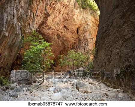 Green trees in the gorge, steep cliffs of the Garganta Verde, Sierra de Cádiz, province of Cádiz, Spain, Europe View Large Photo Image Stock Photo - Green trees in the gorge, steep cliffs of the Garganta Verde, Sierra de Cádiz, province of Cádiz, Spain, Europe. Fotosearch