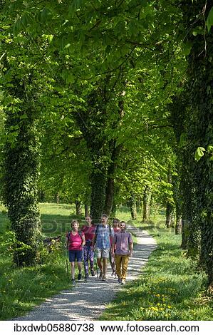 Group hiking, Hiking, Allee, Bad Heilbrunn, Loisachtal, Upper Bavaria, Bavaria, Germany, Europe View Large Photo Image Stock Photo - Group hiking, Hiking, Allee, Bad Heilbrunn, Loisachtal, Upper Bavaria, Bavaria, Germany, Europe. Fotosearch