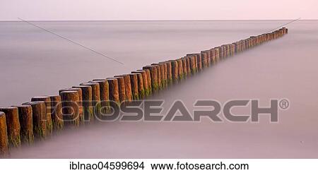 Groyne covered with algae in the Baltic Sea, Fischland, Fischland-Darß-Zingst, Mecklenburg-Western Pomerania, Germany, Europe View Large Photo Image Picture - Groyne covered with algae in the Baltic Sea, Fischland, Fischland-Darß-Zingst, Mecklenburg-Western Pomerania, Germany, Europe. Fotosearch