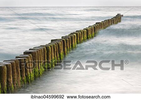 Groyne covered with algae in the Baltic Sea, Fischland, Fischland-Darß-Zingst, Mecklenburg-Western Pomerania, Germany, Europe View Large Photo Image Stock Image - Groyne covered with algae in the Baltic Sea, Fischland, Fischland-Darß-Zingst, Mecklenburg-Western Pomerania, Germany, Europe. Fotosearch