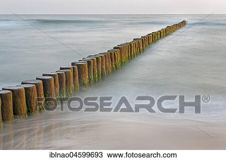 Groyne covered with algae in the Baltic Sea, Fischland, Fischland-Darß-Zingst, Mecklenburg-Western Pomerania, Germany, Europe View Large Photo Image Stock Image - Groyne covered with algae in the Baltic Sea, Fischland, Fischland-Darß-Zingst, Mecklenburg-Western Pomerania, Germany, Europe. Fotosearch