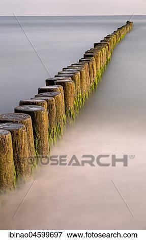 Groyne covered with algae in the Baltic Sea, Fischland, Fischland-Darß-Zingst, Mecklenburg-Western Pomerania, Germany, Europe View Large Photo Image Stock Photo - Groyne covered with algae in the Baltic Sea, Fischland, Fischland-Darß-Zingst, Mecklenburg-Western Pomerania, Germany, Europe. Fotosearch
