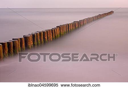 Stock Photography - Groyne covered with algae in the Baltic Sea, Fischland, Fischland-Darß-Zingst, Mecklenburg-Western Pomerania, Germany, Europe. Fotosearch