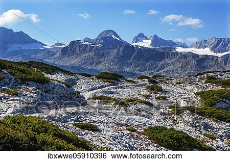 Stock Photograph - Heilbronn circular hiking trail with views of the Hoher Dachstein, Dachstein massif, Krippenstein, Obertraun, Salzkammergut, Upper Austria, Austria, Europe. Fotosearch