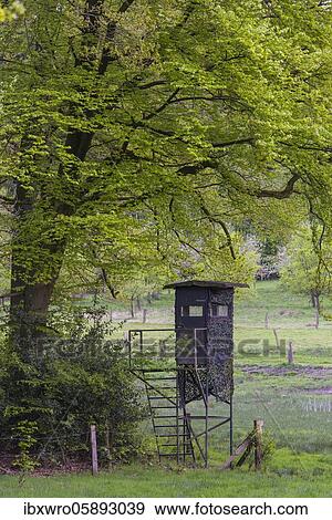 High seat in the Dammer Mountains, Oldenburger Münsterland, Damme, Lower Saxony, Germany, Europe View Large Photo Image Stock Photo - High seat in the Dammer Mountains, Oldenburger Münsterland, Damme, Lower Saxony, Germany, Europe. Fotosearch